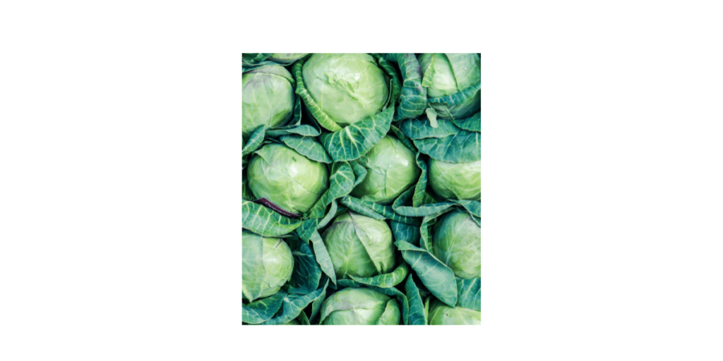 Cabbages