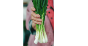 hand holding a bunch of green onions Tamara Elnova