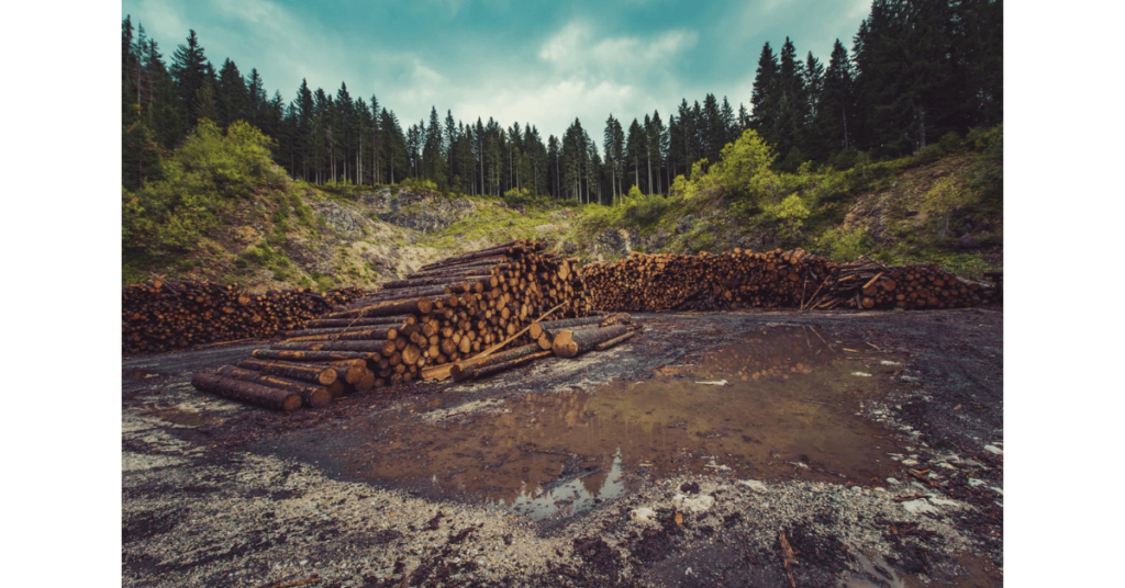 Firewood on a river