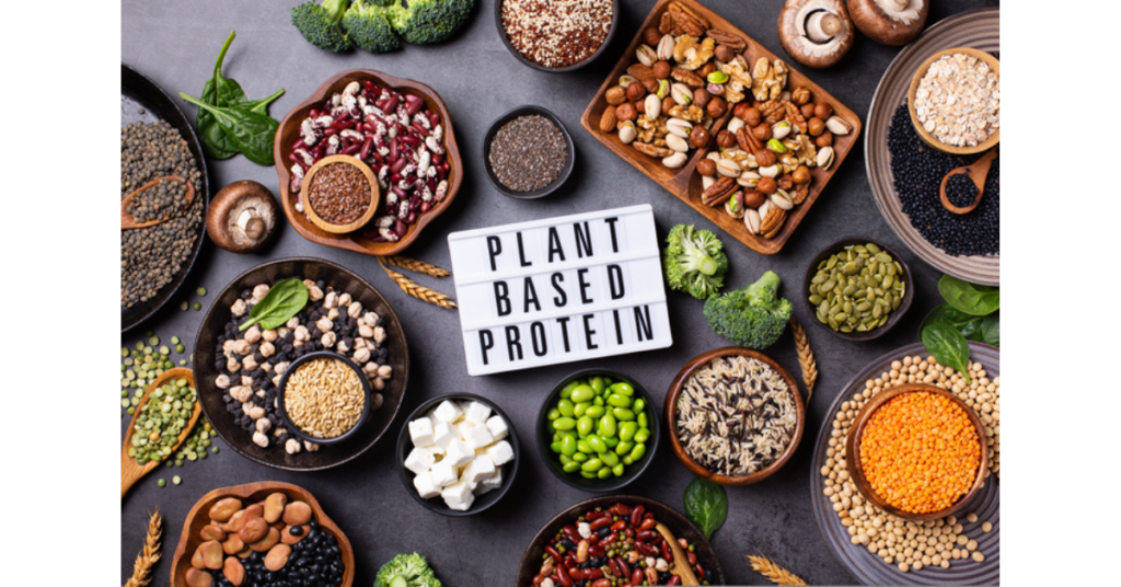 Variety of vegan plant-based protein foods