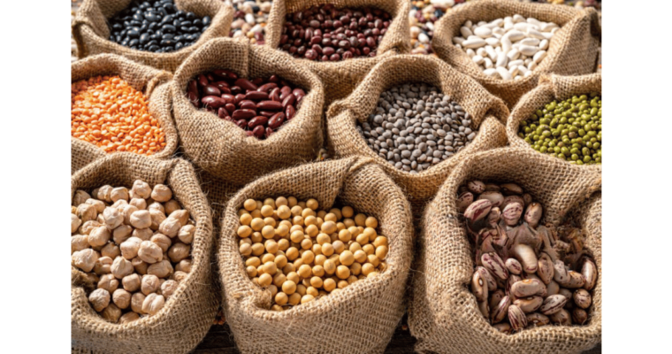 The Amazing Health Benefits of Beans in South Africa