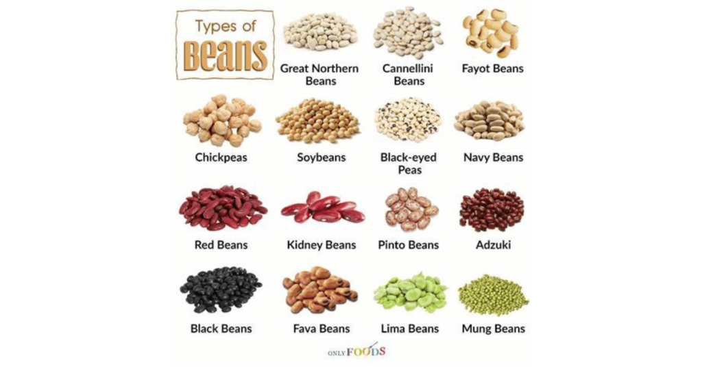 The Amazing Health Benefits of Beans in South Africa - Eating Plant-Based