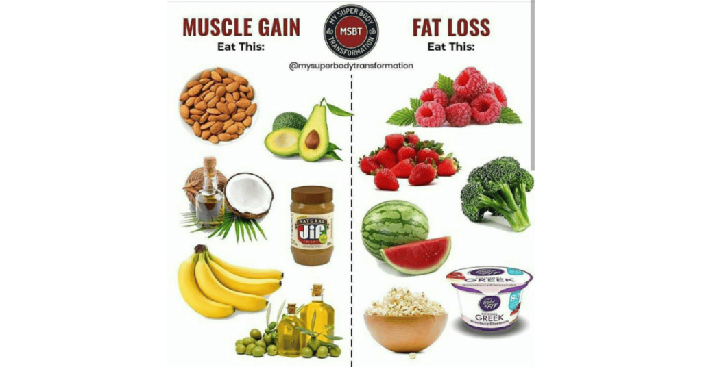 Muscle gain vs Fat loss Chart