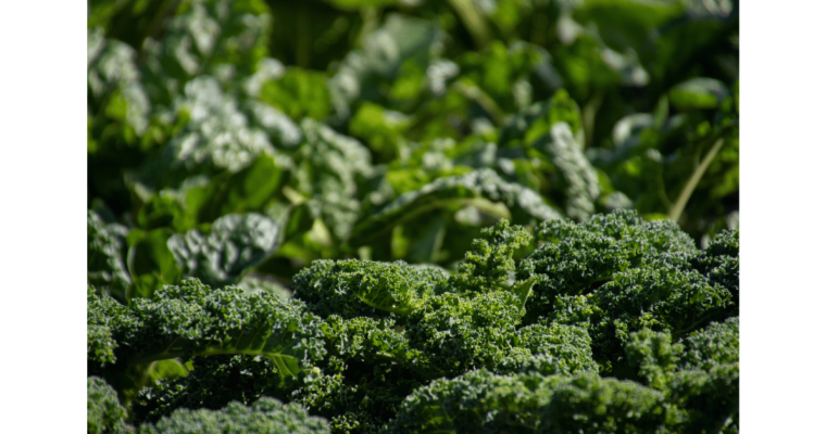 Spinach and broccoli