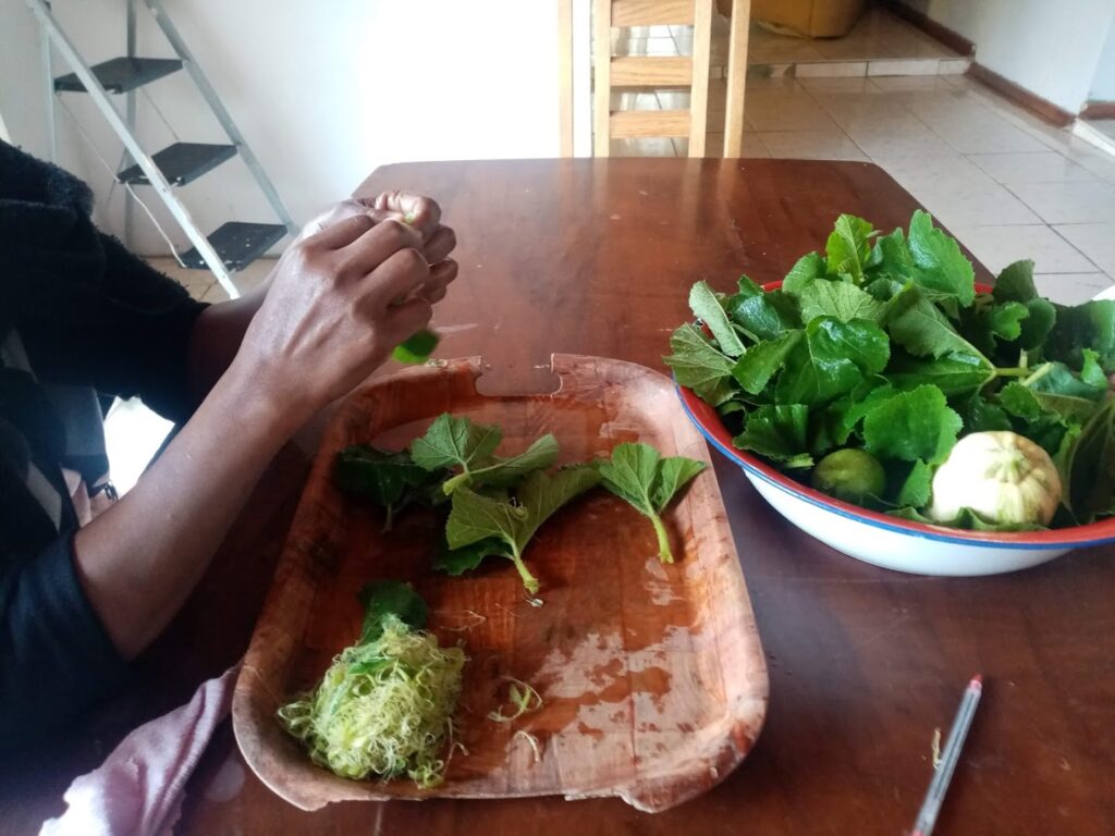woman hands preparing pumpkin leaves for eating plant-based foods on a budget.