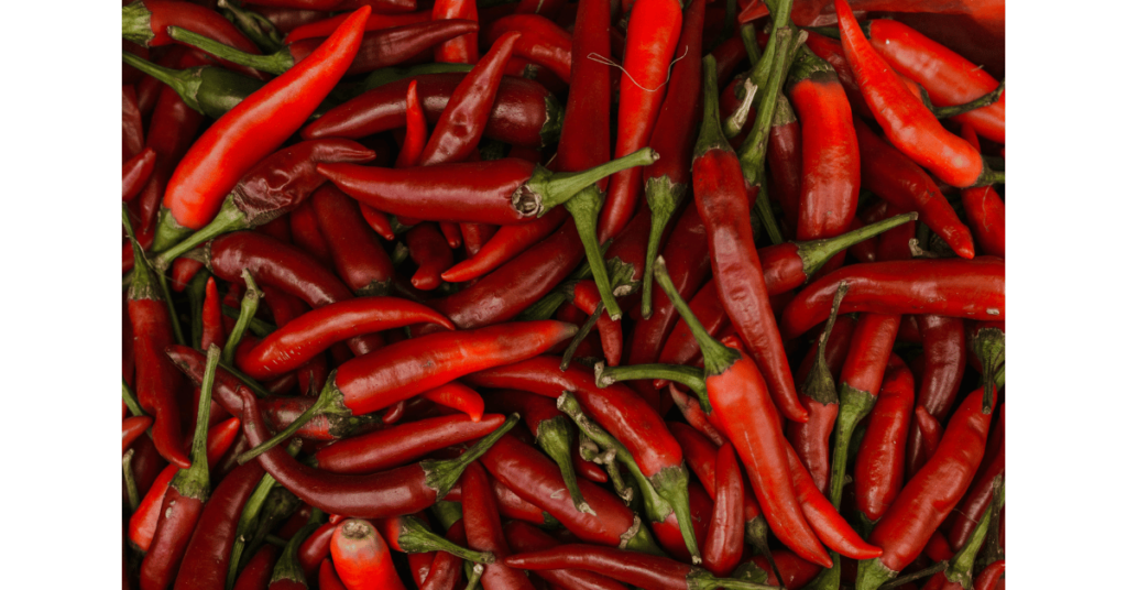 Red Chilli peppers close up photography by Arina Krasnikova Pexels.