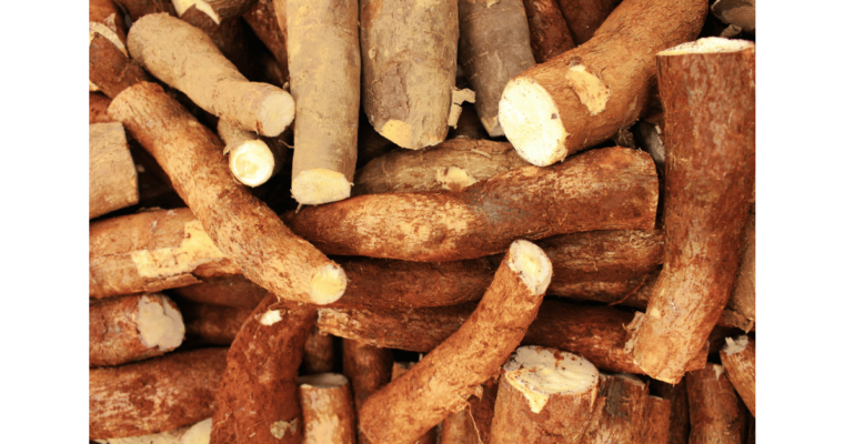 Cassava root crop close up photography from Pexels by Daniel Dan