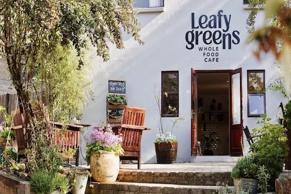 Best Vegan-Friendly Destinations in South Africa | Ultimate Guide