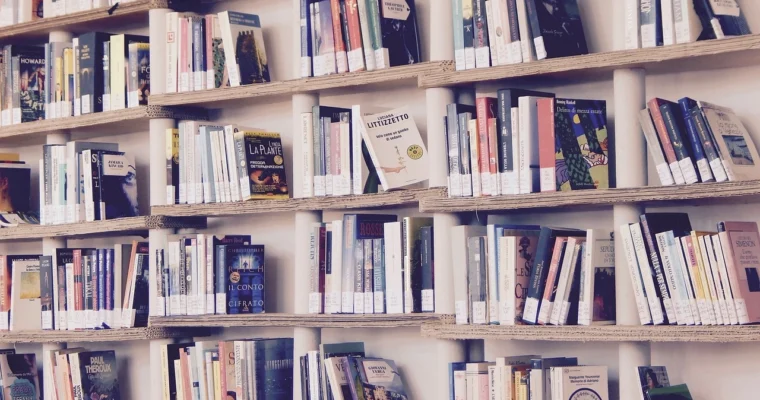 Top 15 Best Self-Help Books for Success in 2025