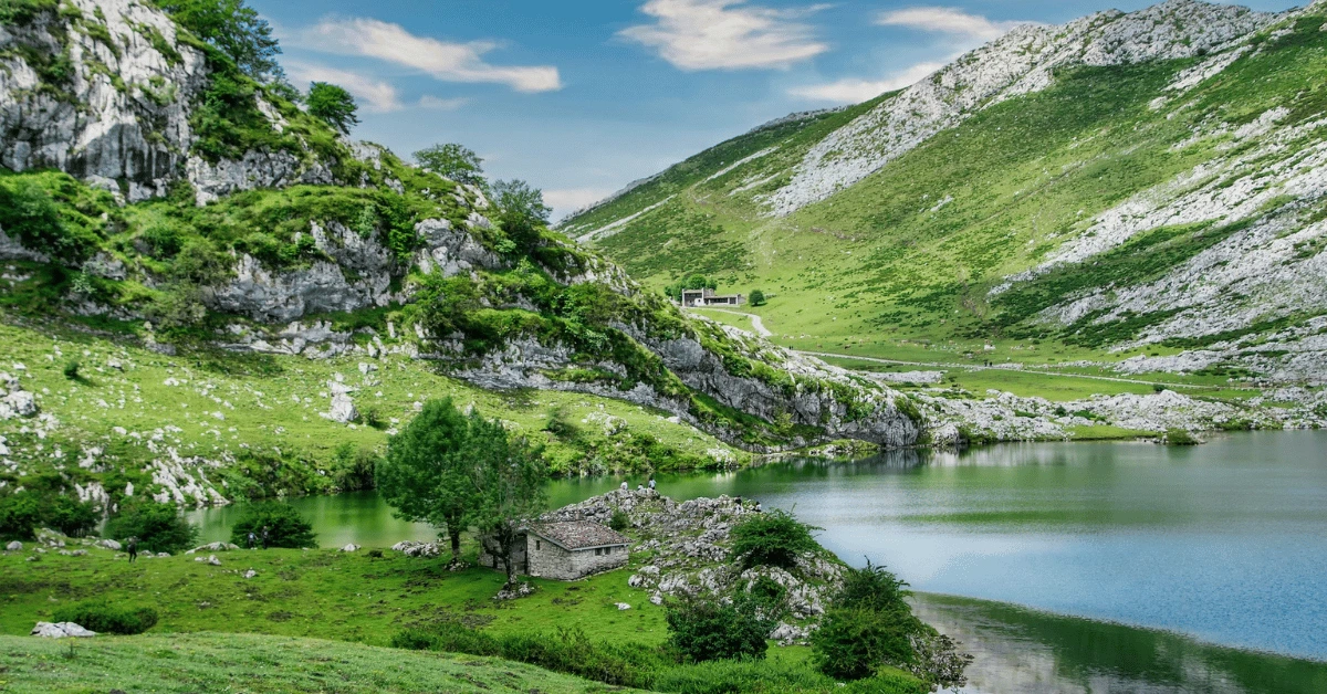 A Plant-Based Approach to Traveller’s Health