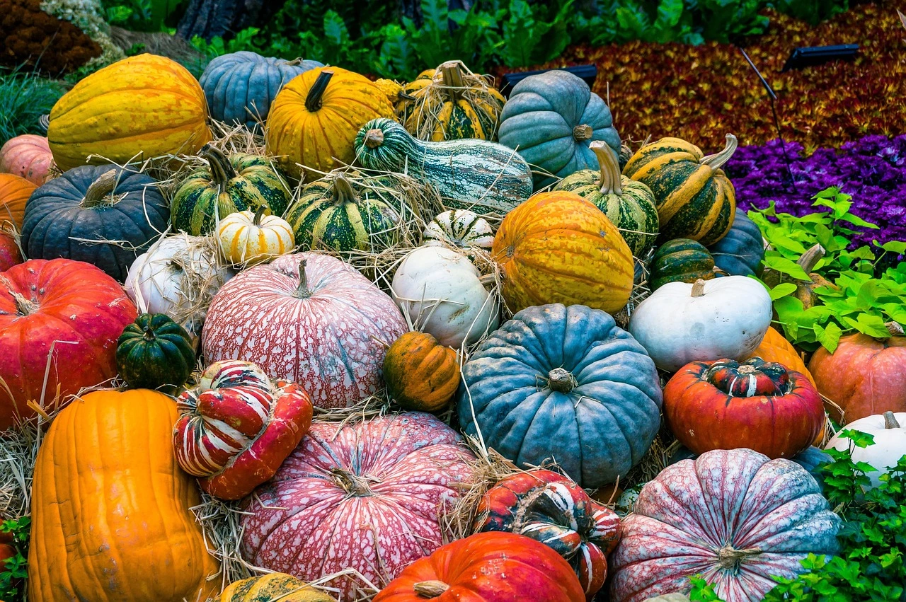 The Versatility of South African Vegetables