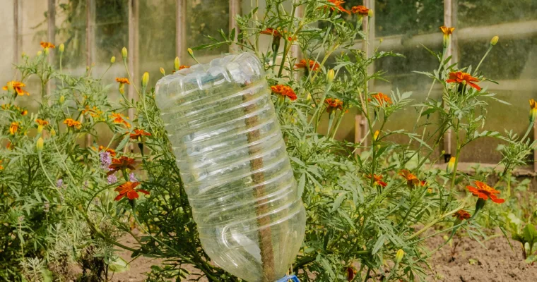 Water bottle used for irrigation in conserving water and irrigating plants.
