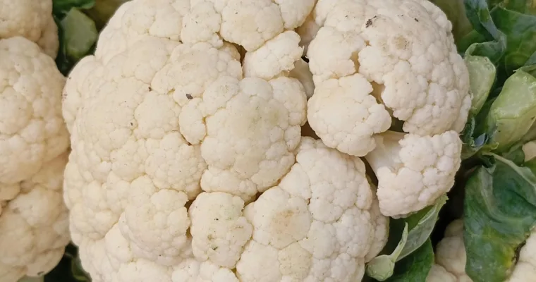 The Science Behind Plant-Based Anti-Inflammatory Diets (2026)