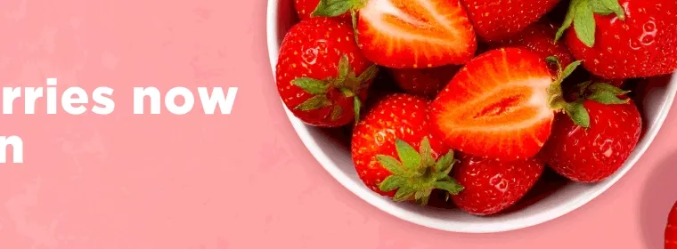 Checkers Plant-Based Guide (2026)