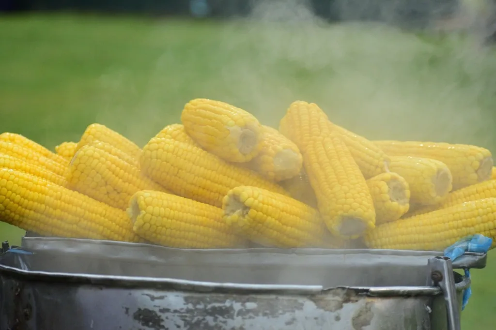 Cooked maize in a steel bucket.