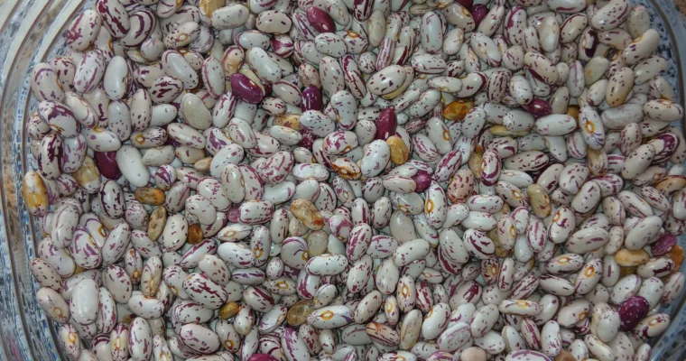 5 South African Staples That Are Secretly Superfoods