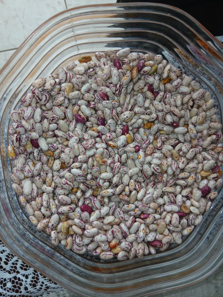 Sugar beans in a bowl one of the 5 staples that are superfoods in south africa.