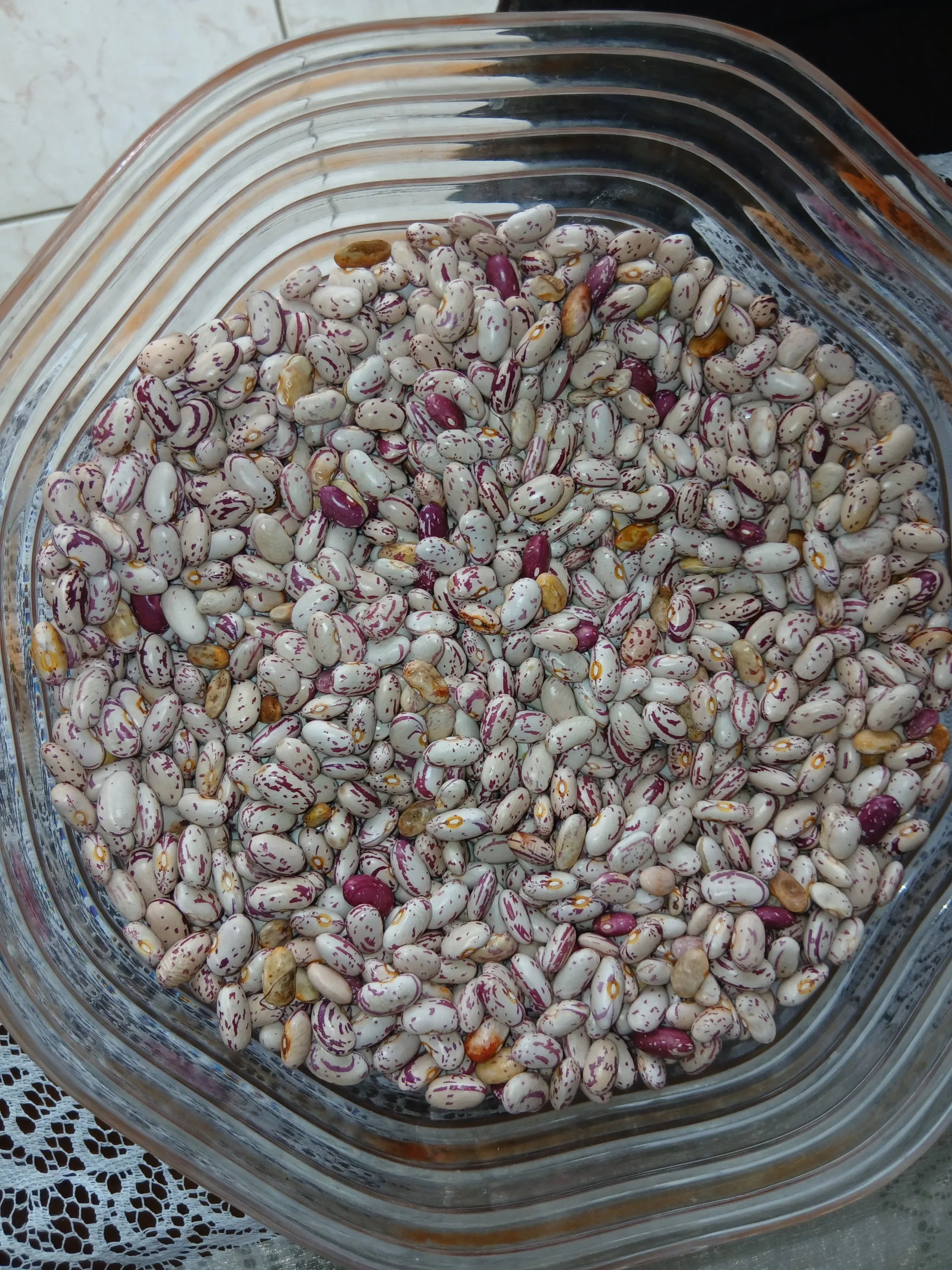 5 South African Staples That Are Secretly Superfoods